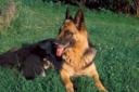 Small picture of Gina von der Schwarzen Nister
